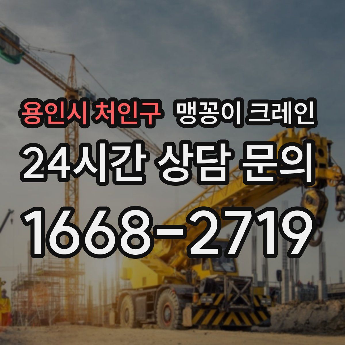 용인시 처인구 맹꽁이 크레인