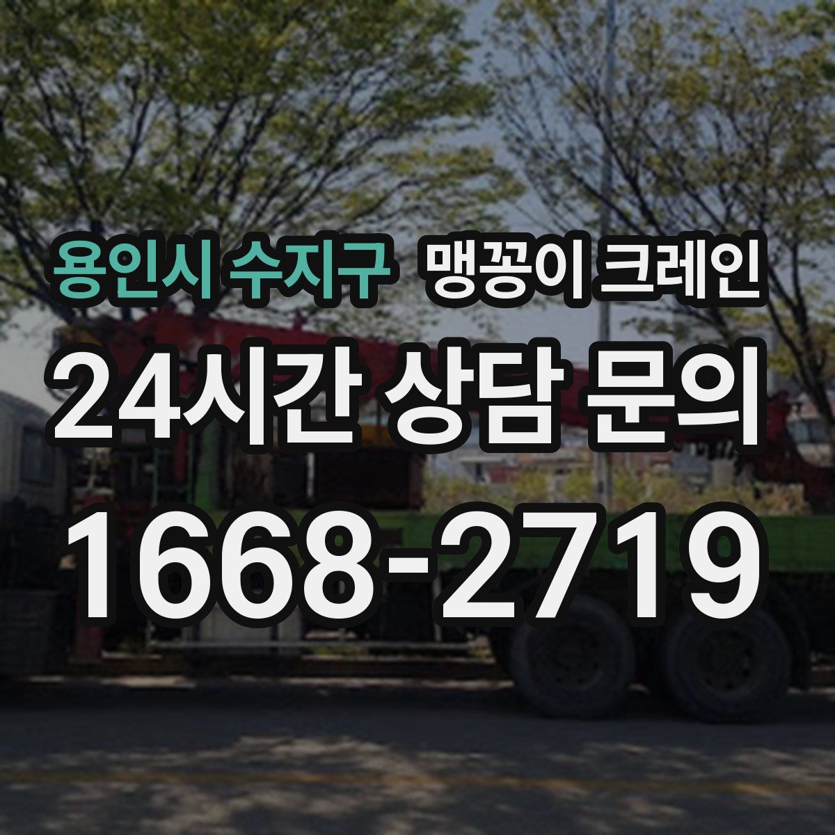 용인시 수지구 맹꽁이 크레인