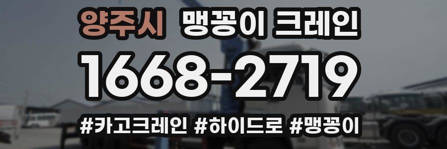 양주시 맹꽁이 크레인