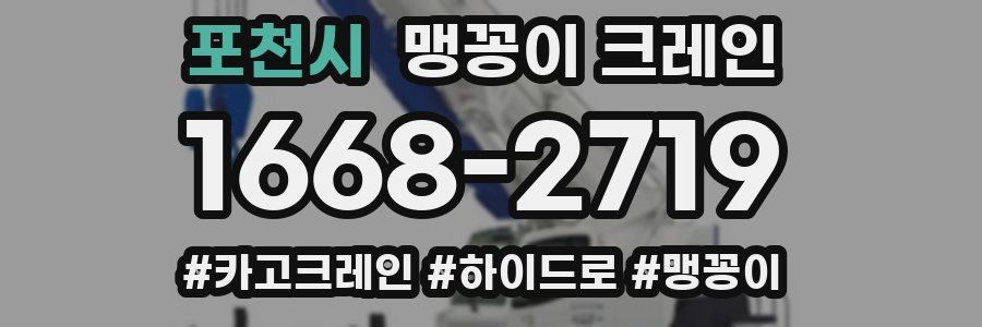 포천시 맹꽁이 크레인