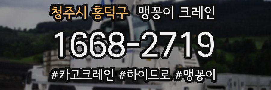 청주시 흥덕구 맹꽁이 크레인
