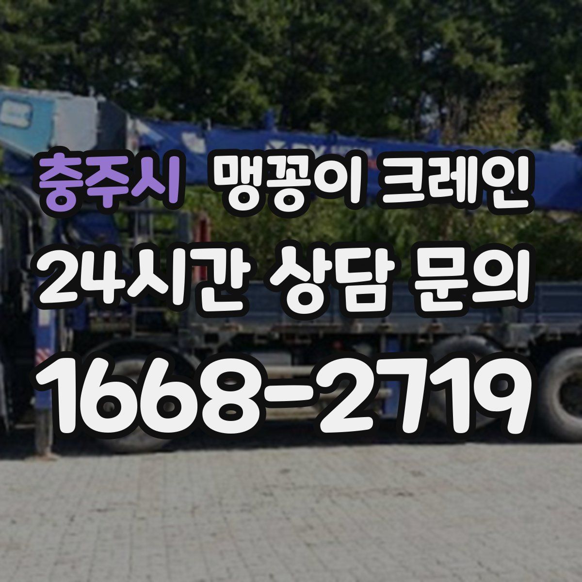 충주시 맹꽁이 크레인