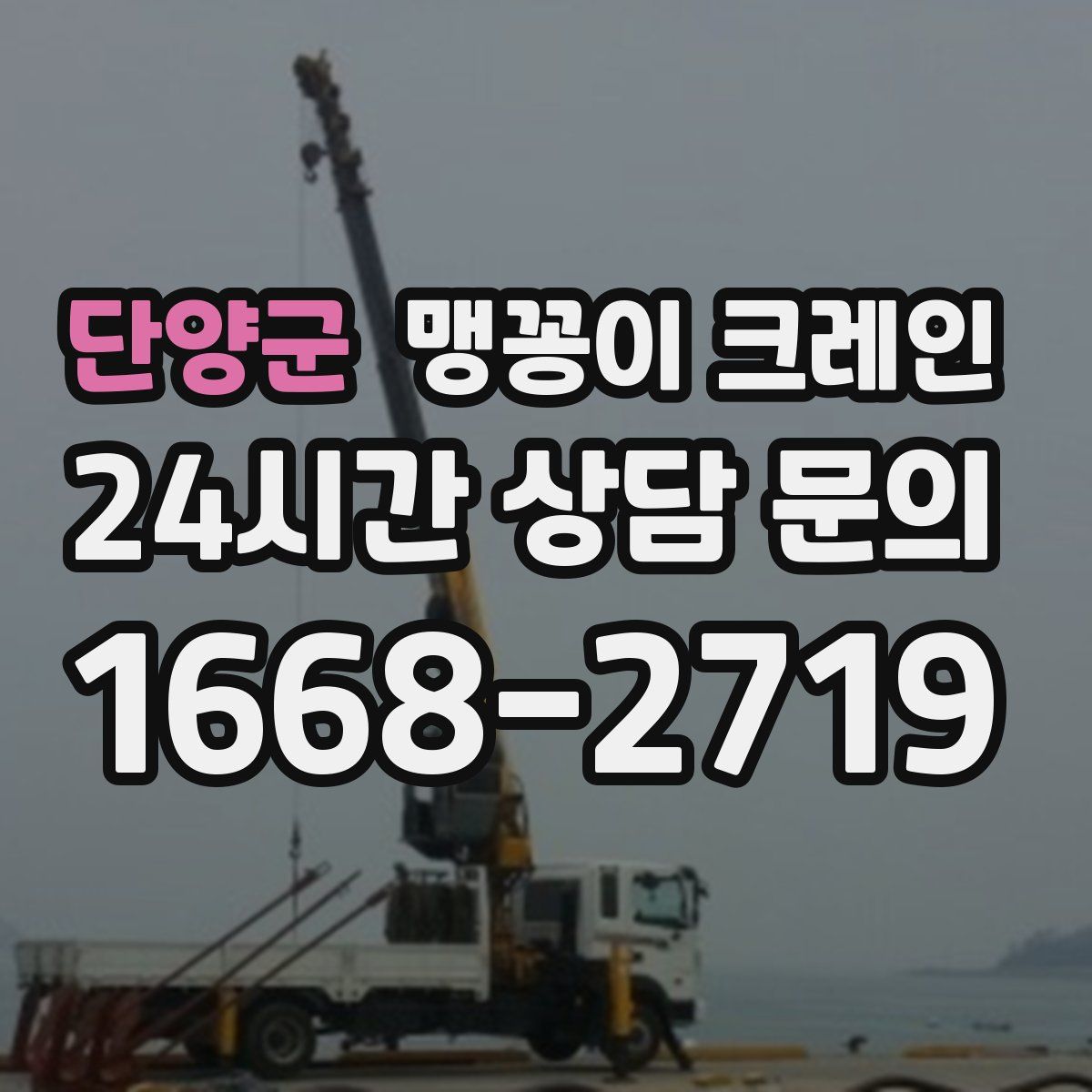 단양군 맹꽁이 크레인