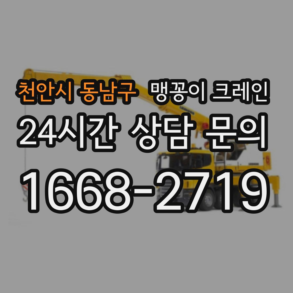 천안시 동남구 맹꽁이 크레인