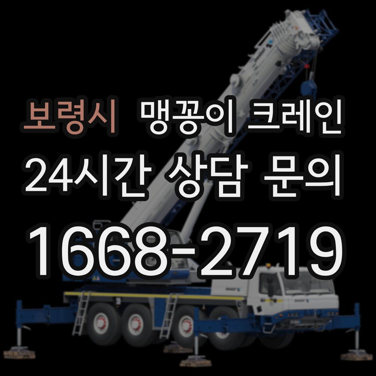 보령시 맹꽁이 크레인