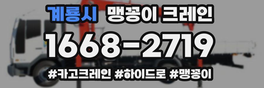 계룡시 맹꽁이 크레인