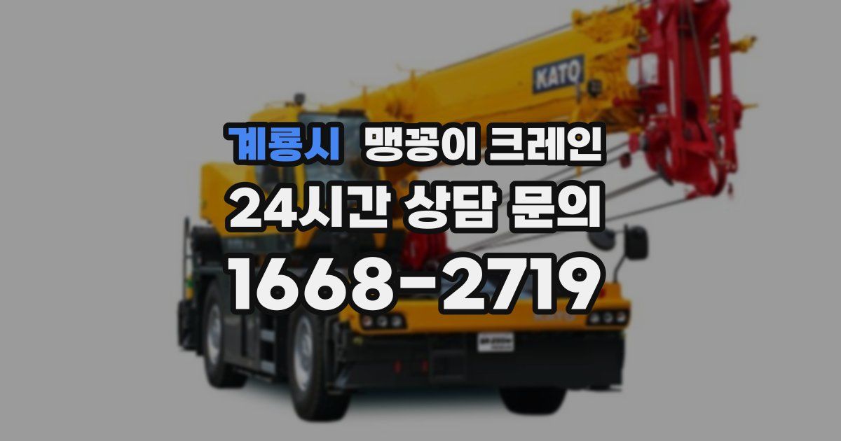 계룡시 맹꽁이 크레인