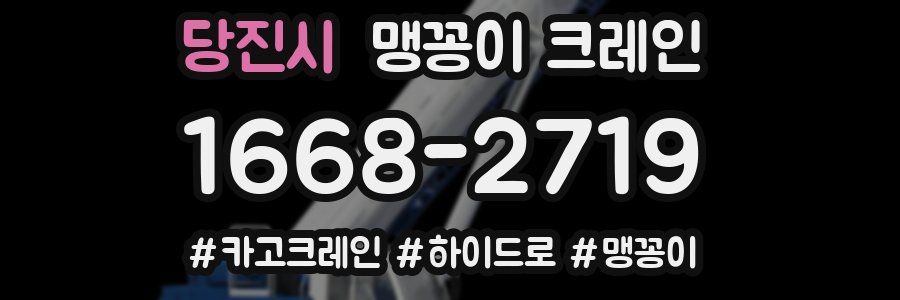 당진시 맹꽁이 크레인