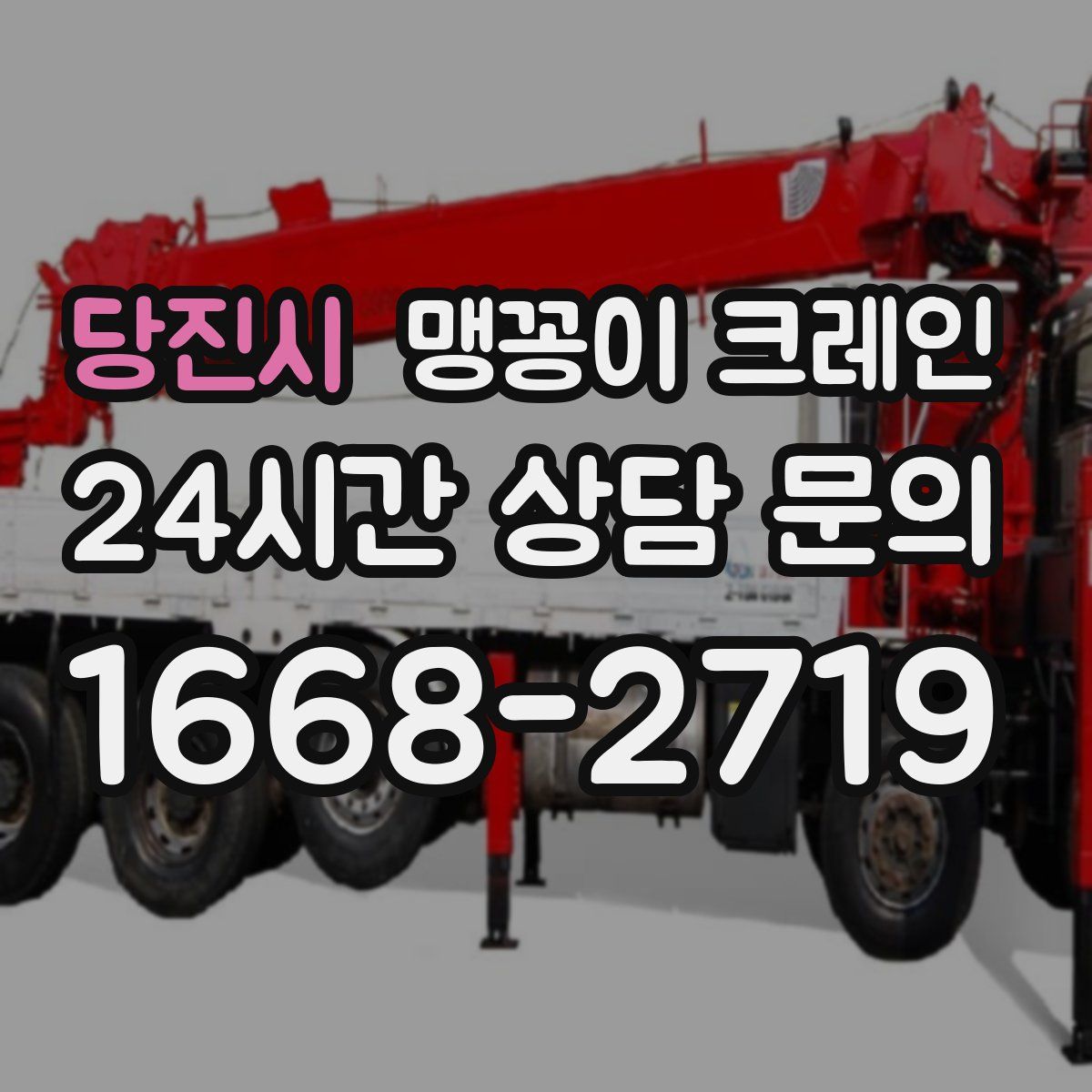 당진시 맹꽁이 크레인