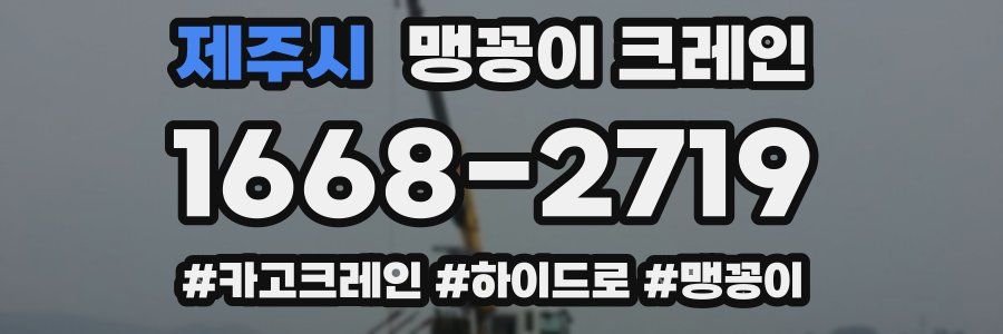 제주시 맹꽁이 크레인
