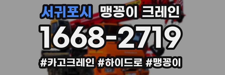 서귀포시 맹꽁이 크레인