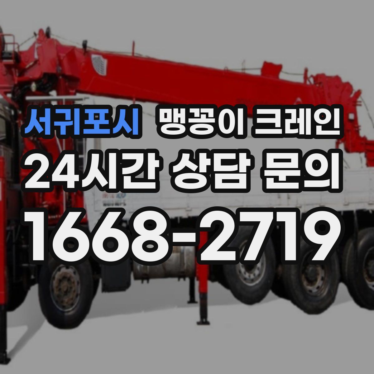 서귀포시 맹꽁이 크레인