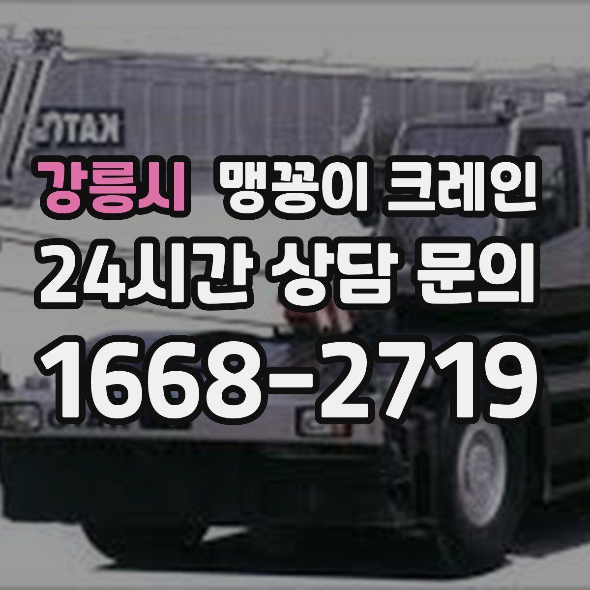 강릉시 맹꽁이 크레인