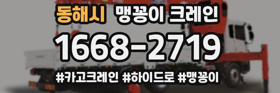 동해시 맹꽁이 크레인