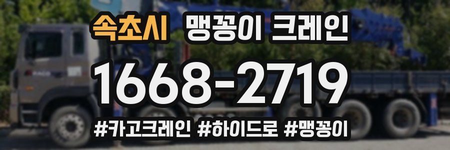 속초시 맹꽁이 크레인