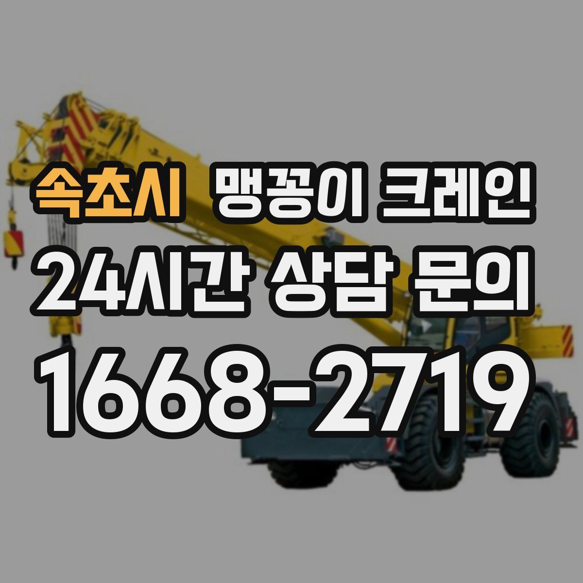 속초시 맹꽁이 크레인