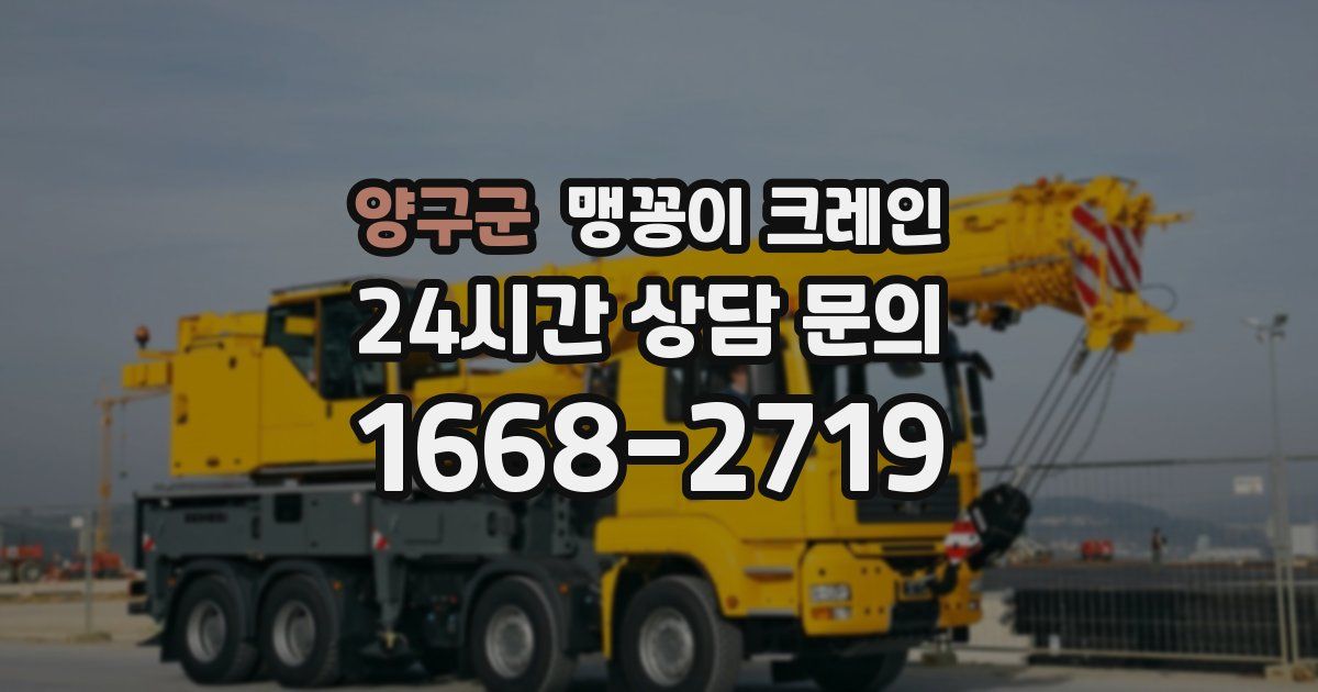 양구군 맹꽁이 크레인