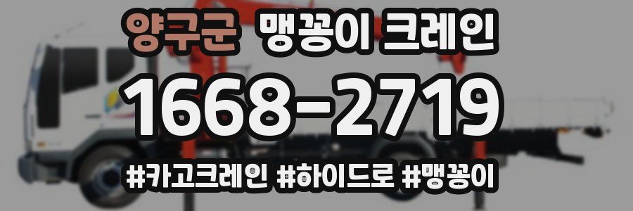 양구군 맹꽁이 크레인