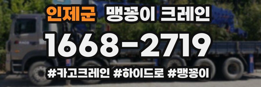 인제군 맹꽁이 크레인