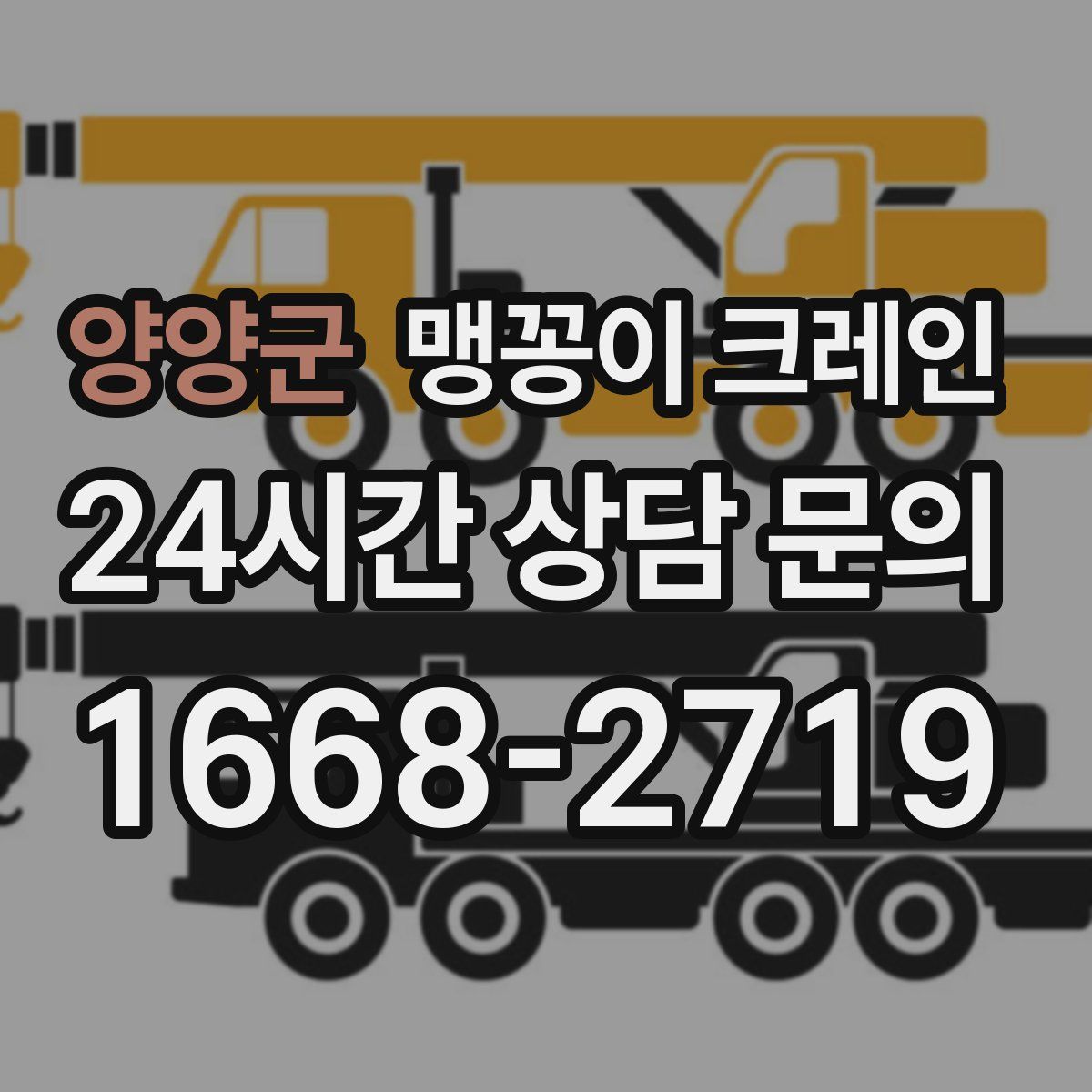 양양군 맹꽁이 크레인