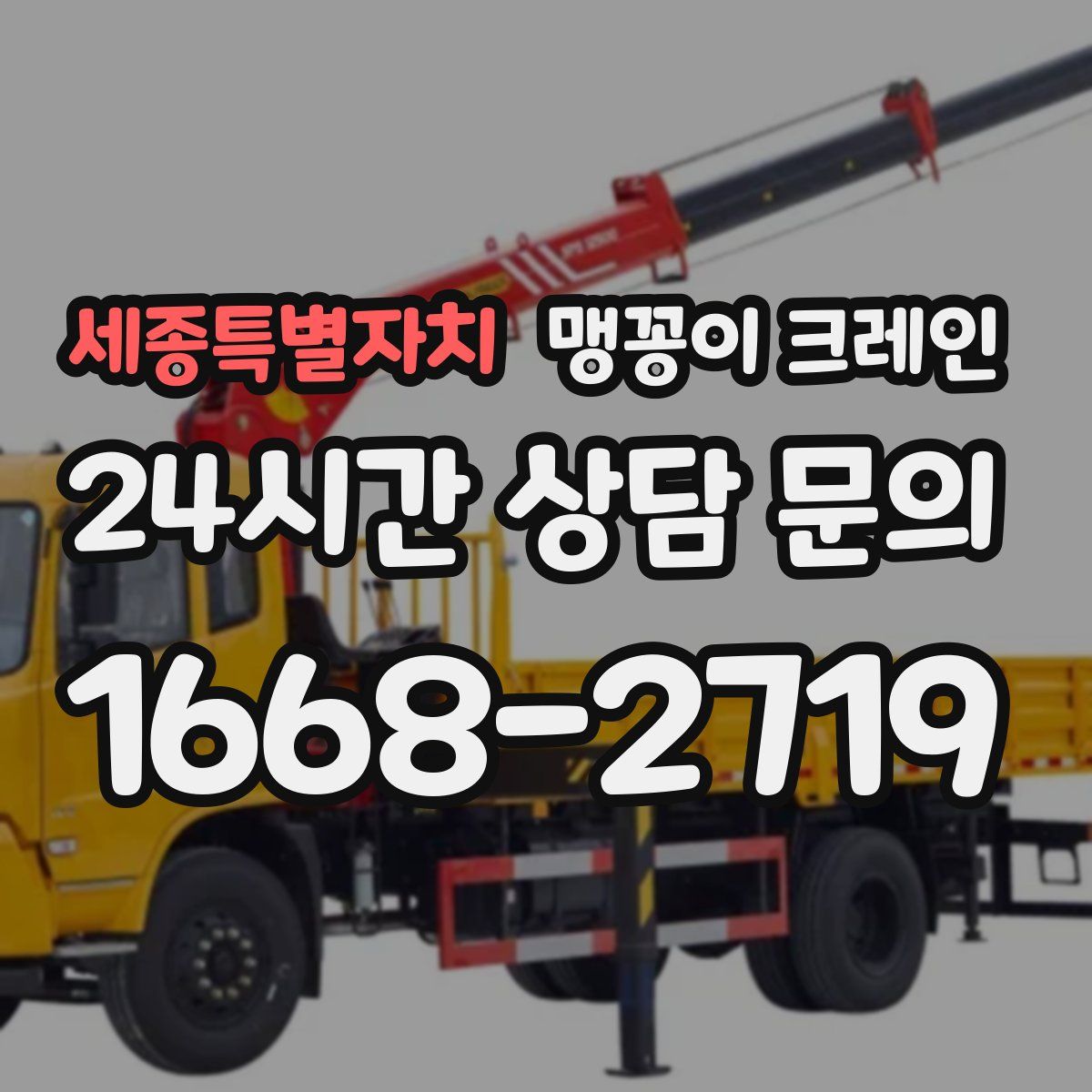 세종특별자치 맹꽁이 크레인