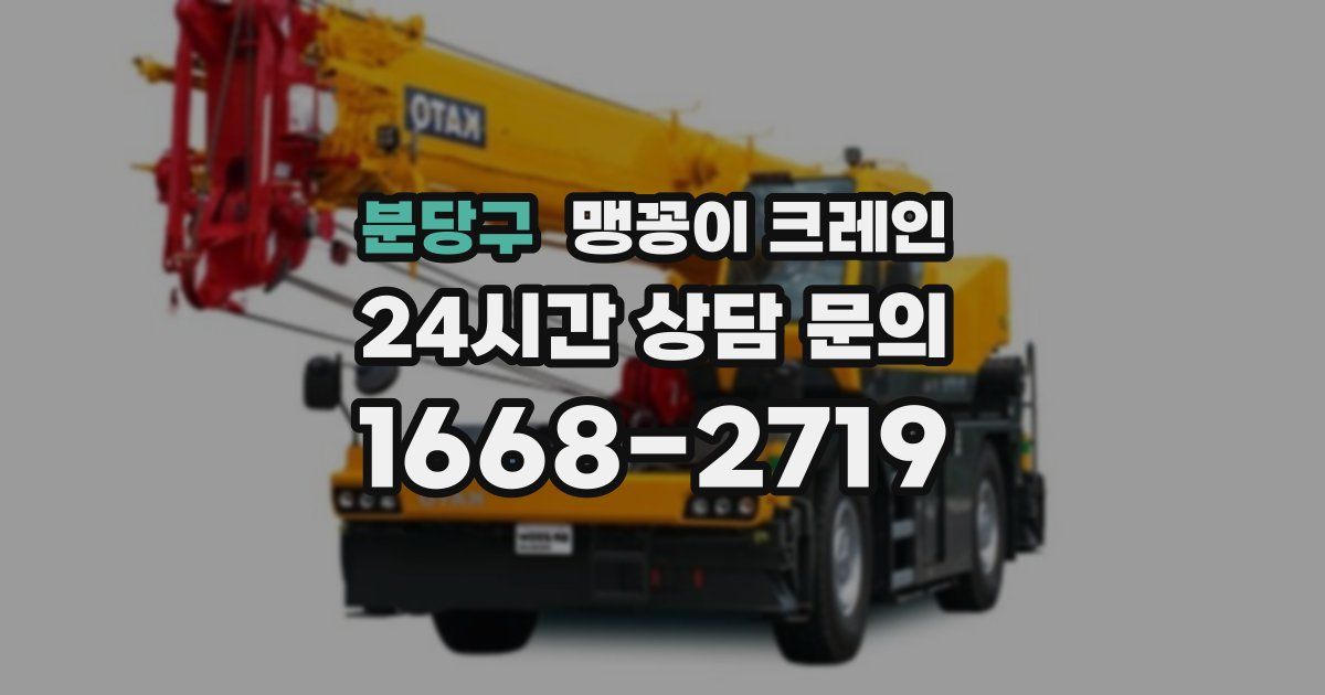 분당구 맹꽁이 크레인