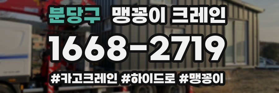 분당구 맹꽁이 크레인