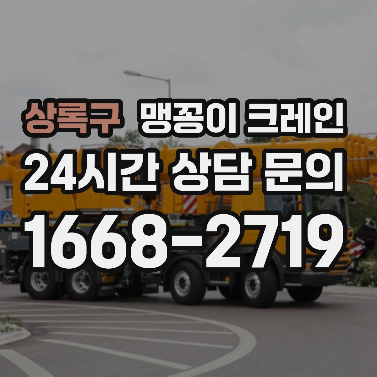 상록구 맹꽁이 크레인