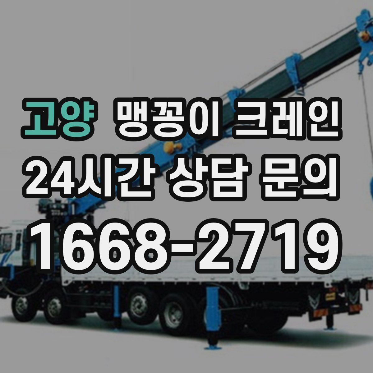고양 맹꽁이 크레인
