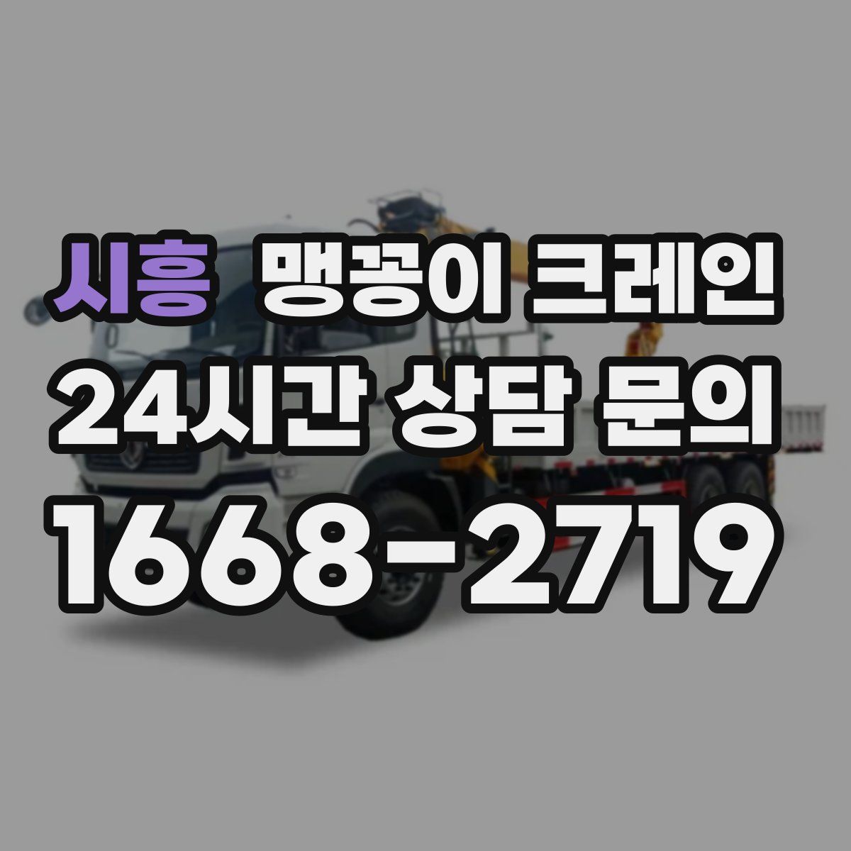 시흥 맹꽁이 크레인