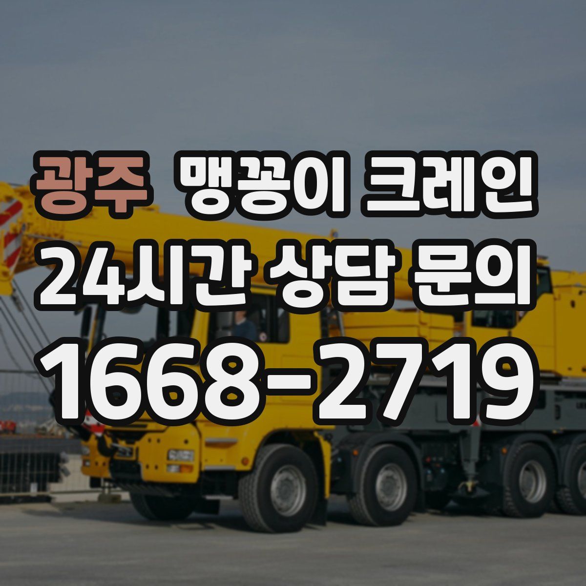 광주 맹꽁이 크레인