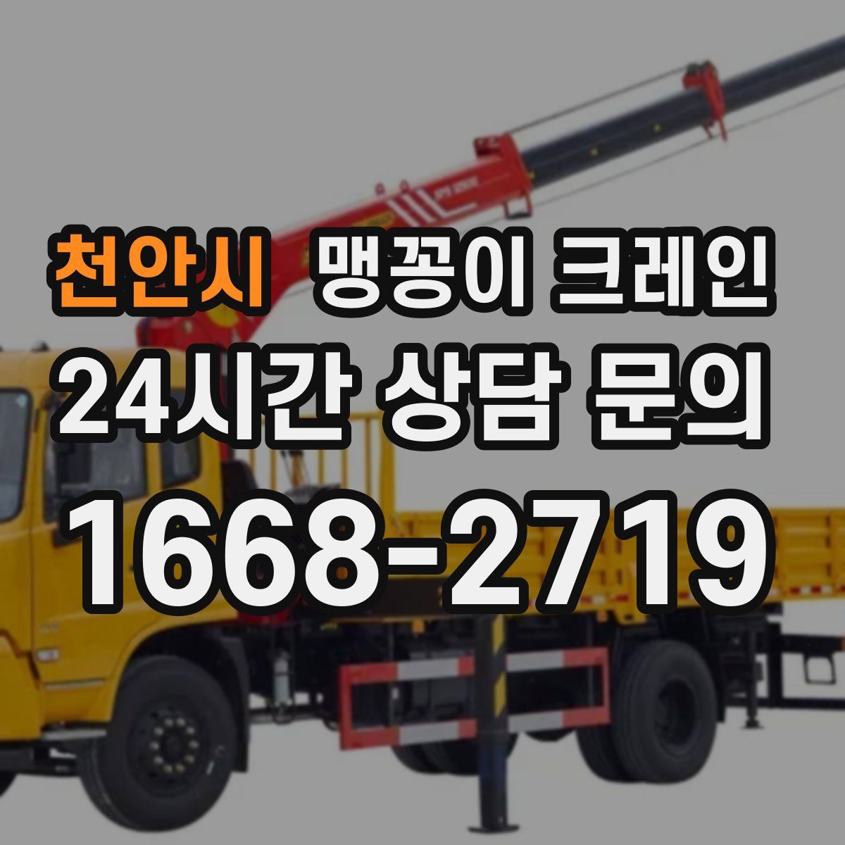 천안시 맹꽁이 크레인