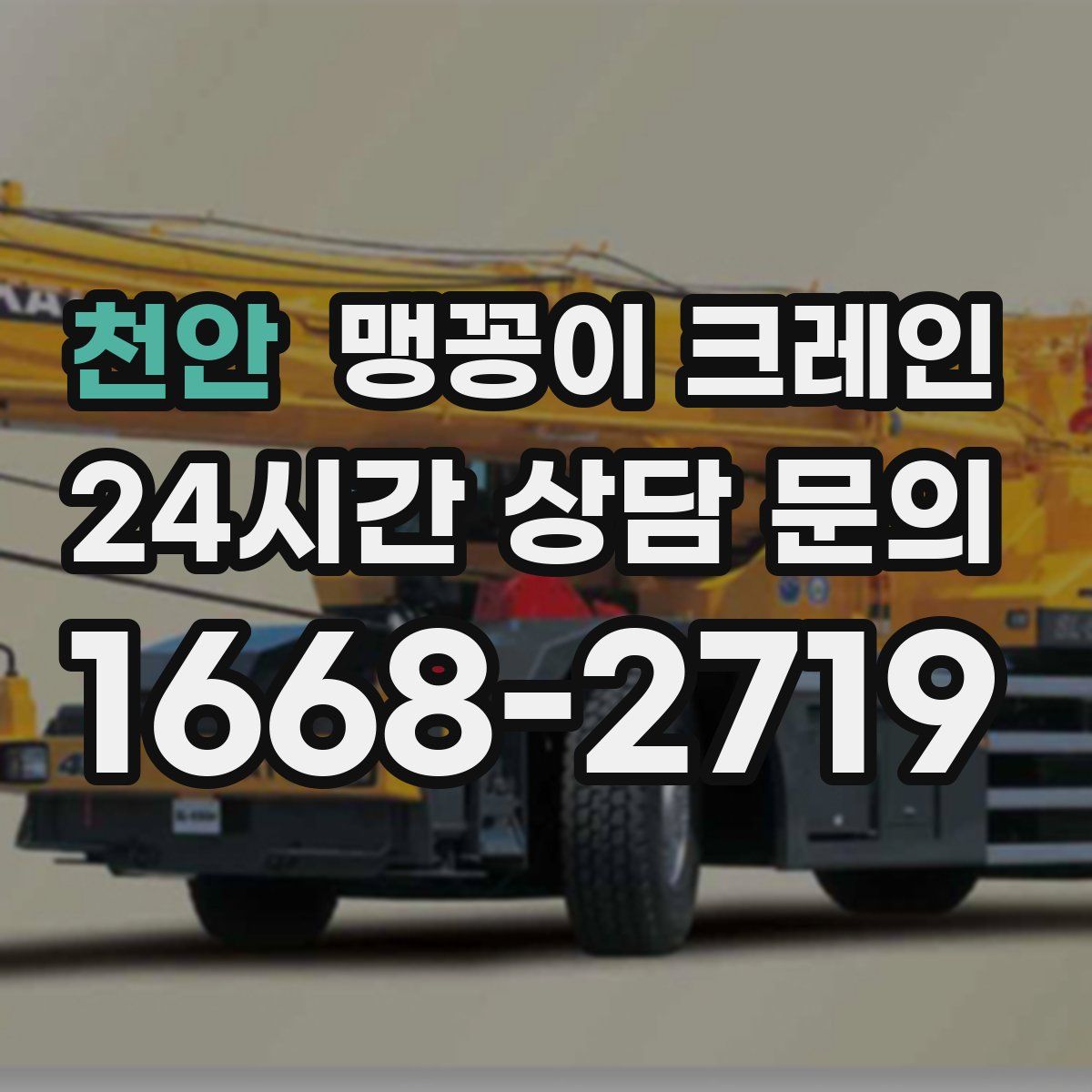 천안 맹꽁이 크레인