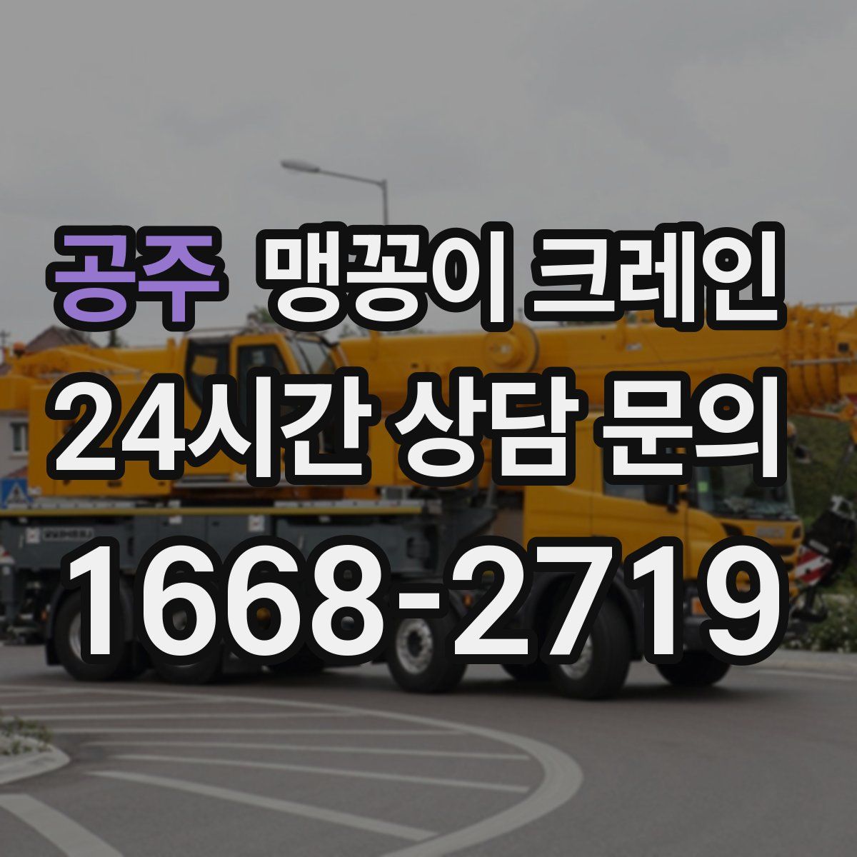 공주 맹꽁이 크레인