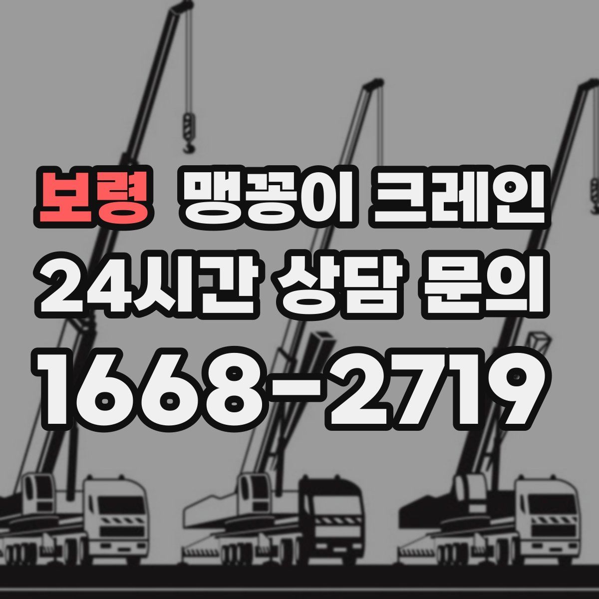 보령 맹꽁이 크레인