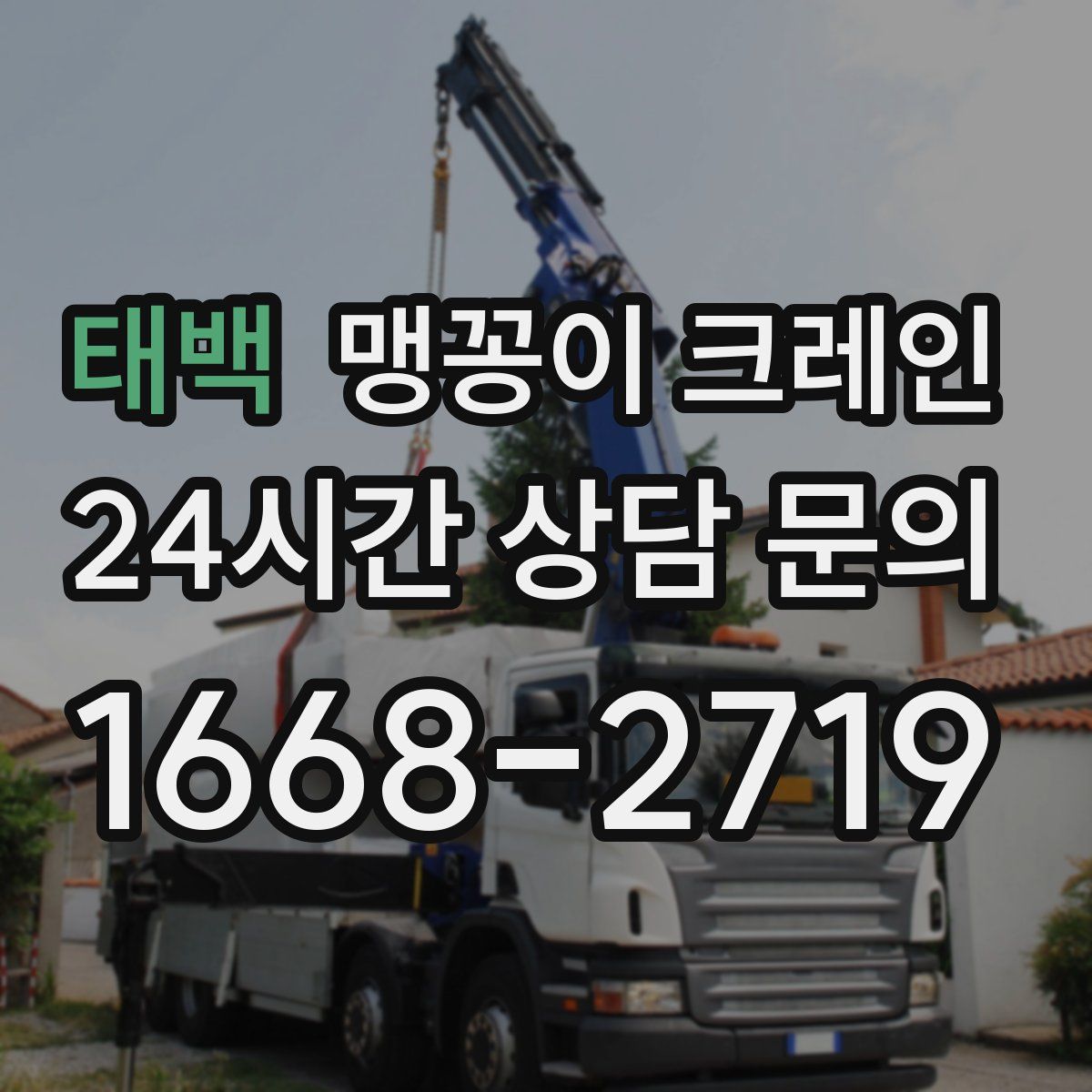 태백 맹꽁이 크레인