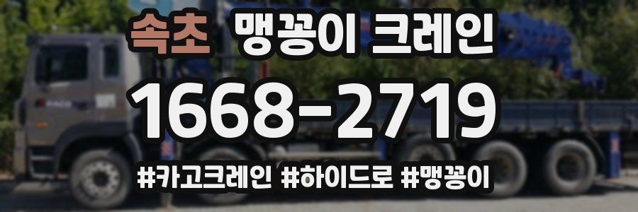 속초 맹꽁이 크레인