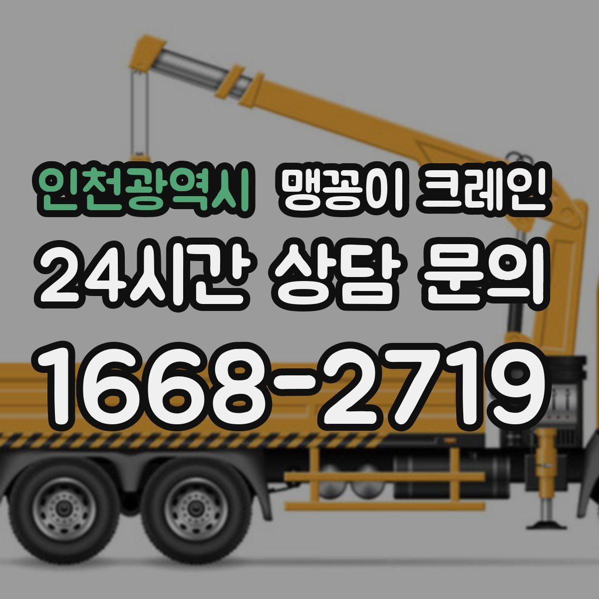 인천광역시 맹꽁이 크레인