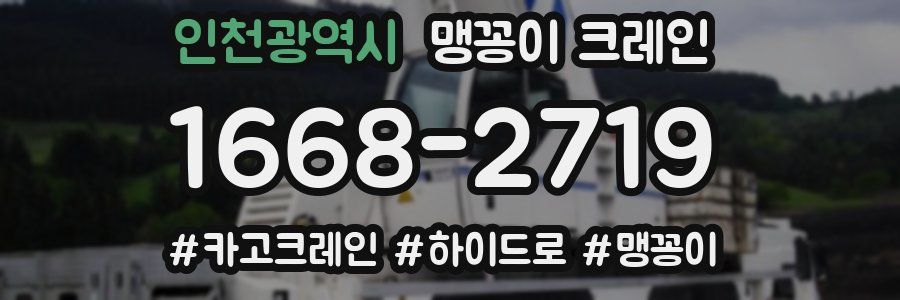 인천광역시 맹꽁이 크레인