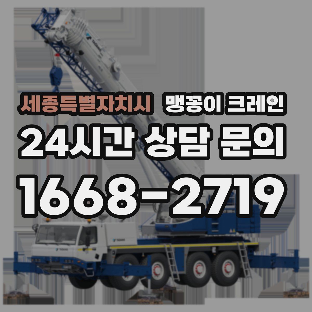 세종특별자치시 맹꽁이 크레인