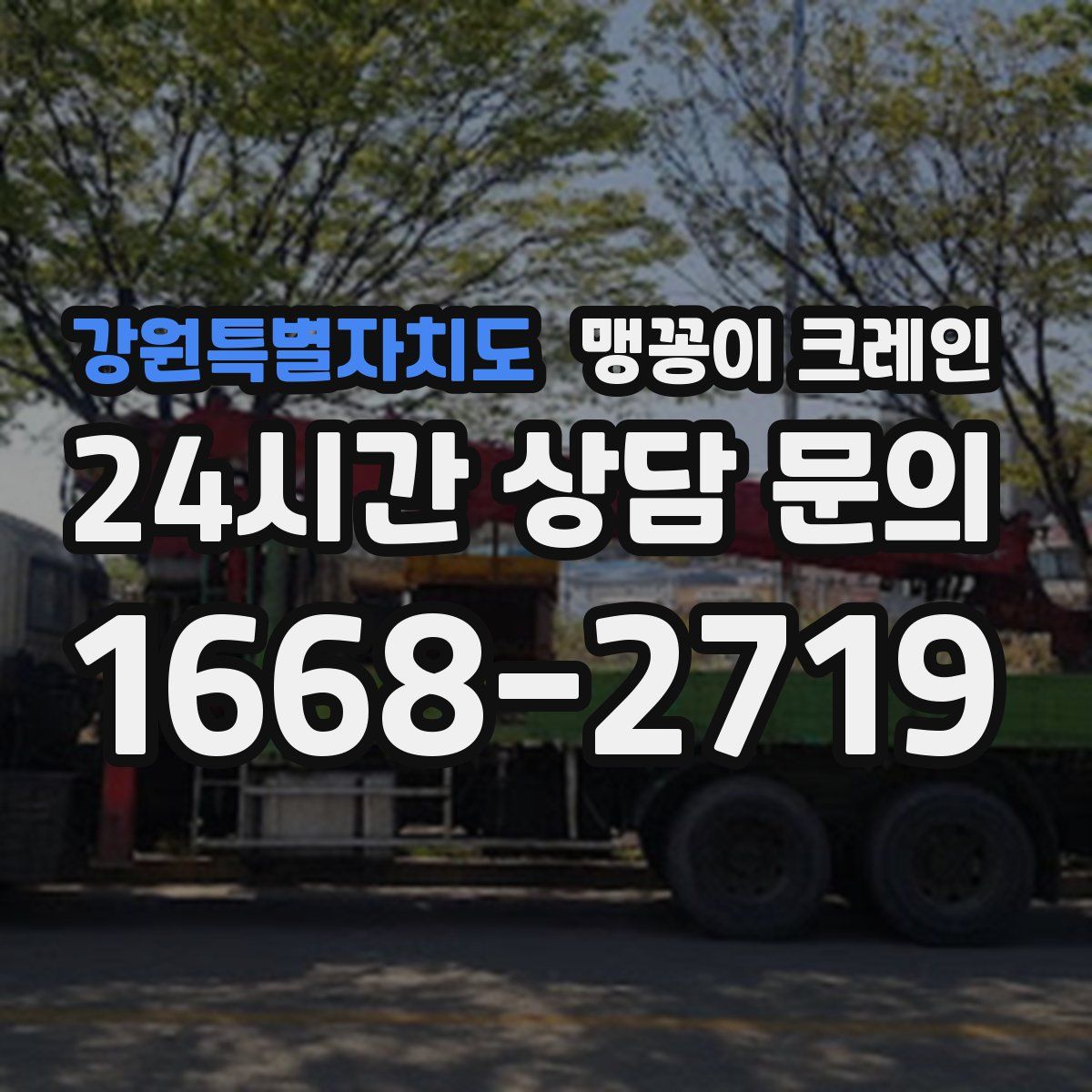 강원특별자치도 맹꽁이 크레인