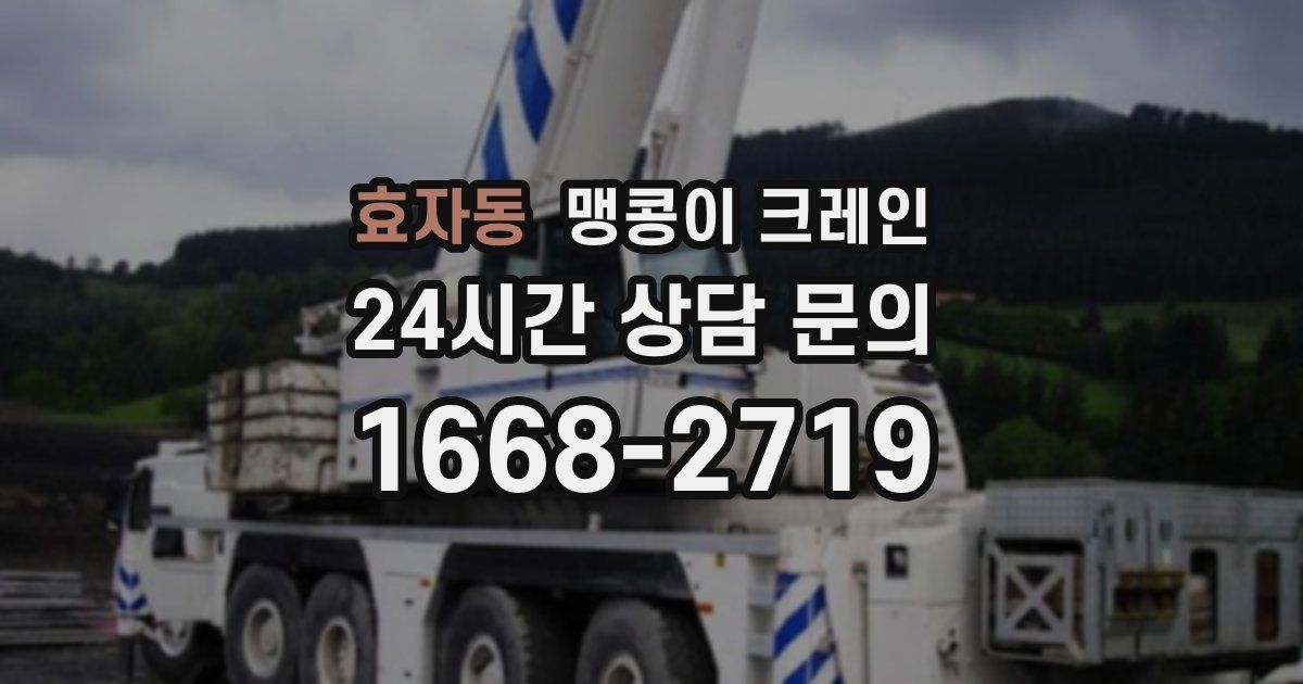 효자동 맹콩이 크레인