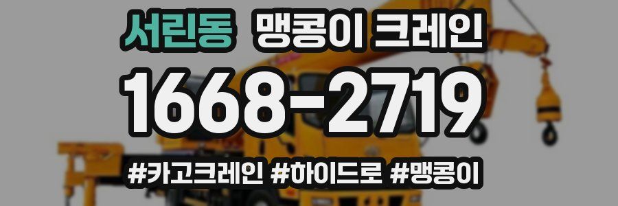 서린동 맹콩이 크레인