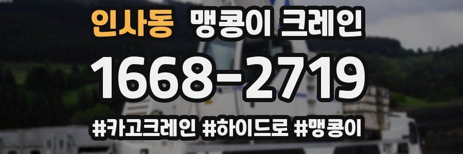 인사동 맹콩이 크레인