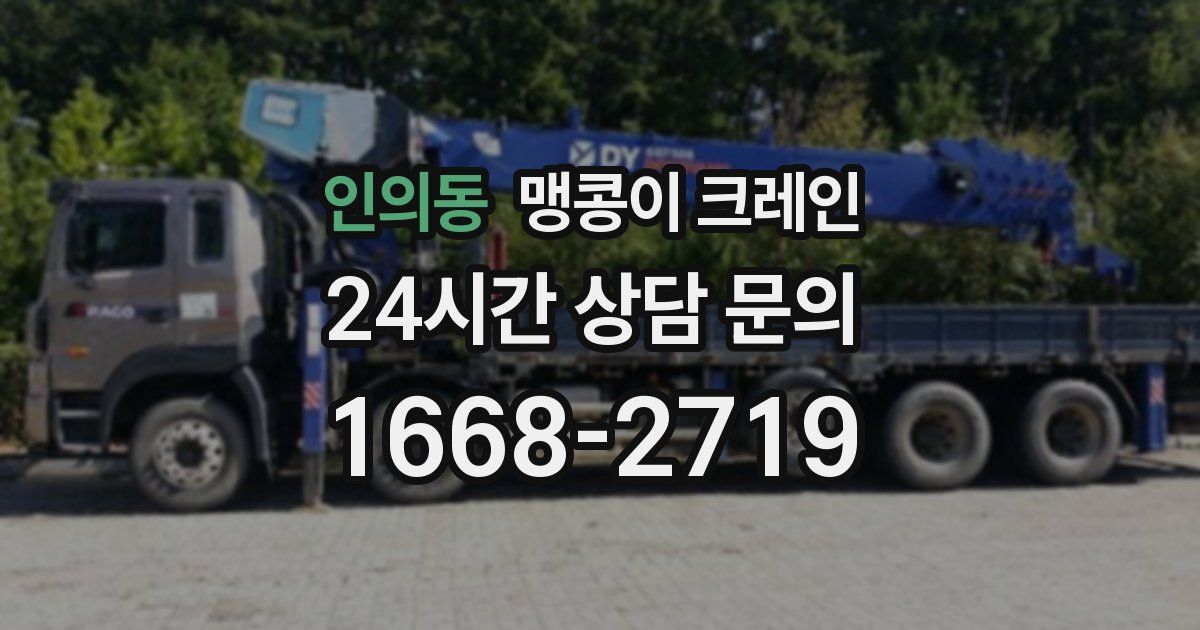 인의동 맹콩이 크레인