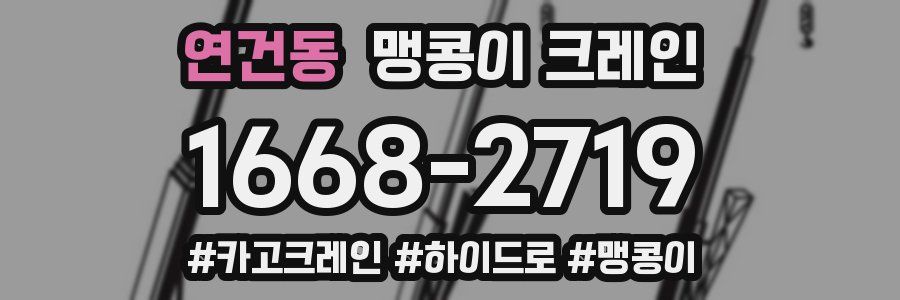 연건동 맹콩이 크레인