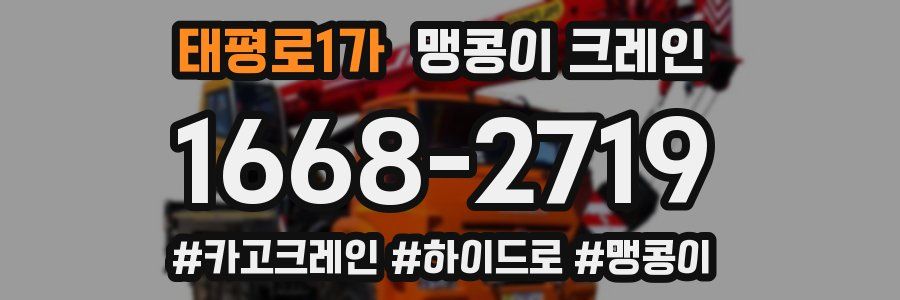 태평로1가 맹콩이 크레인