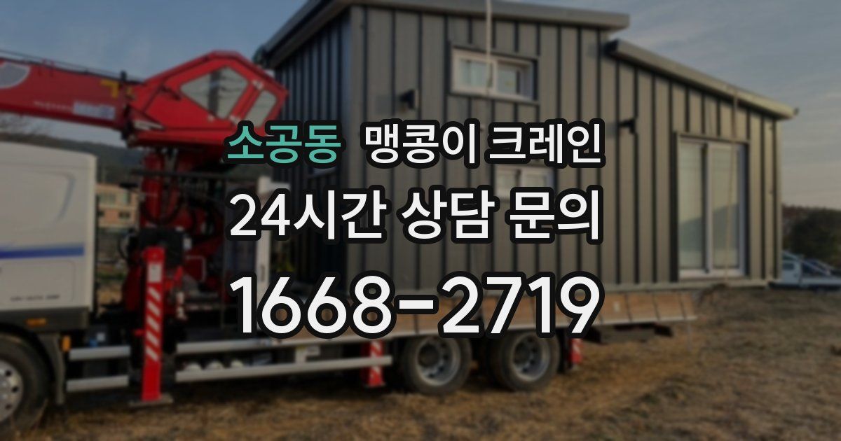 소공동 맹콩이 크레인