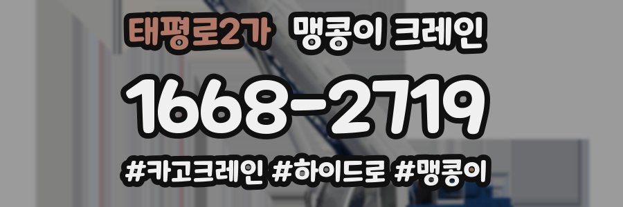 태평로2가 맹콩이 크레인