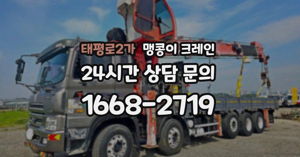 태평로2가 맹콩이 크레인